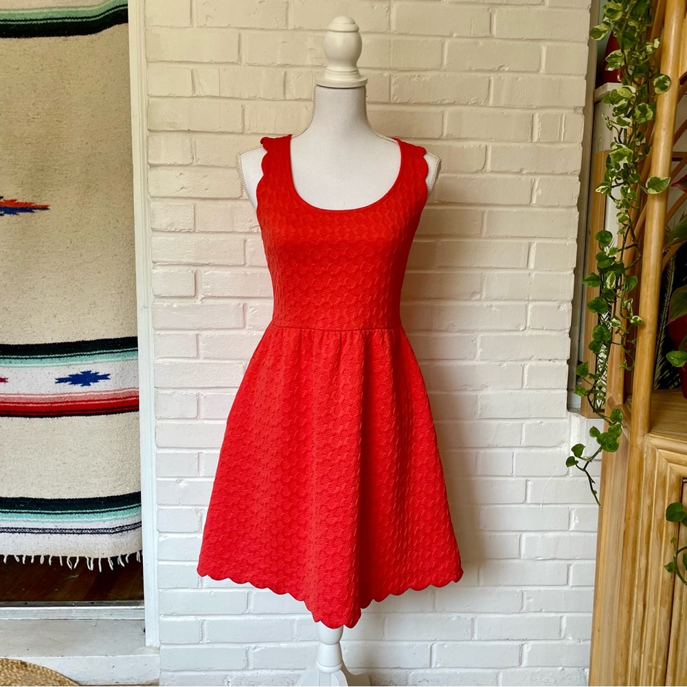Anthropologie Maeve Caye Scalloped Dress Women’s Size Small Texture Stretchy